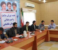 جلسه شورای بهداشت و امنیت غذایی شهرستان ملکشاهی